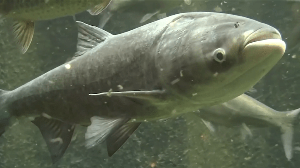 Educational Resources